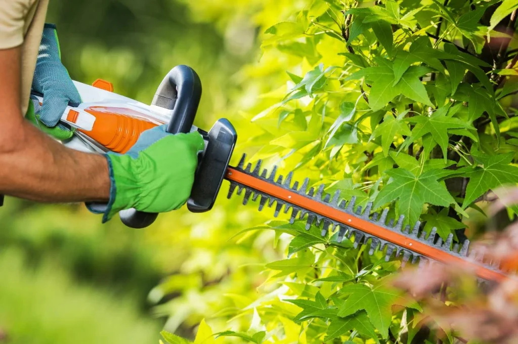 gartenpflege-gbs_gmbh