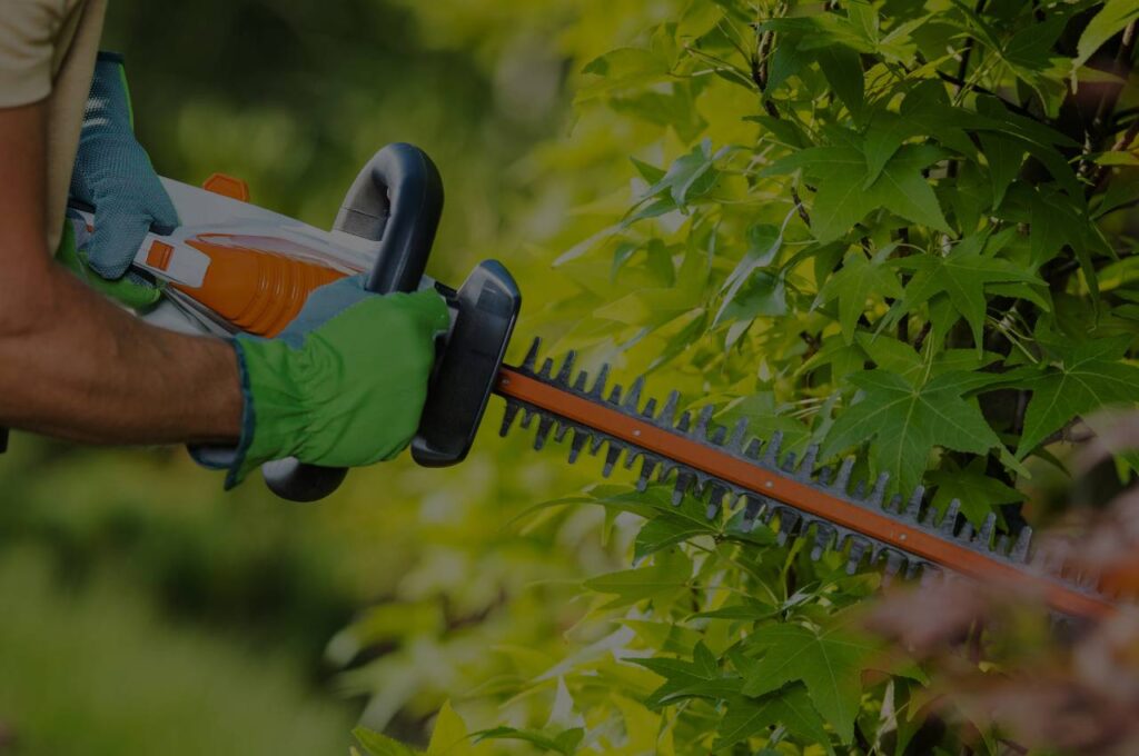 gartenpflege_greenberlin Für Ihre Gartenpflege in Berlin sind wir bereit